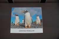 
DSC00217